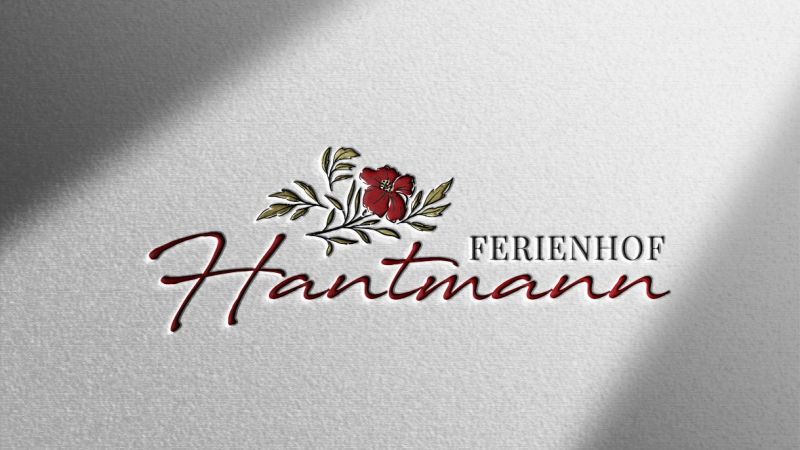 Logodesign Hantmann